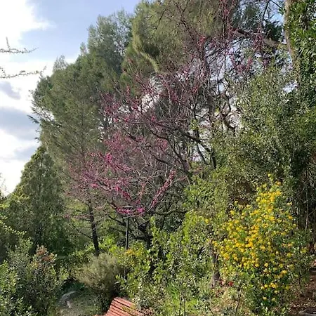 Vivenda De Luxe A Barcelona Vila Sant Cugat del Vallès Exterior foto