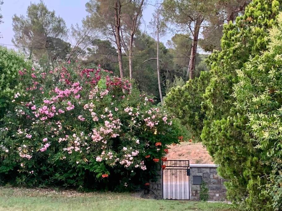 Vivenda De Luxe A Barcelona * Sant Cugat del Valles