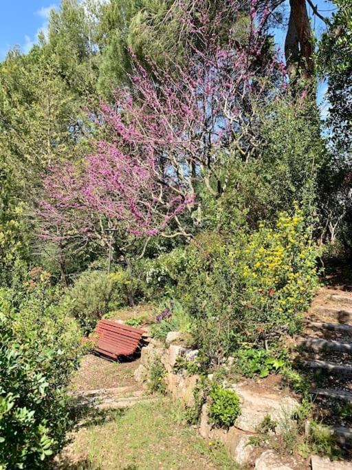 Vivenda De Luxe A Barcelona Villa